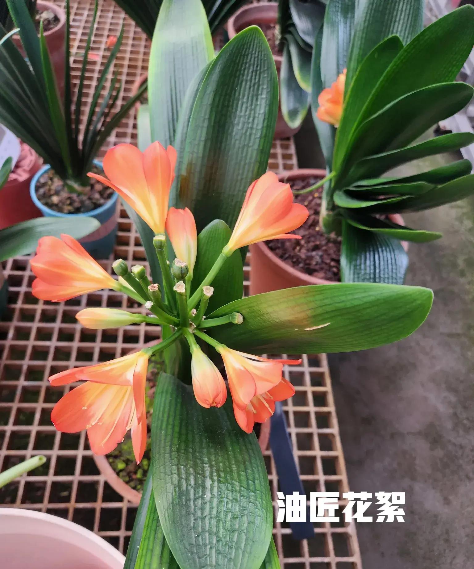 现在是5月份强劲到西南风很频繁空气也干燥到这个
