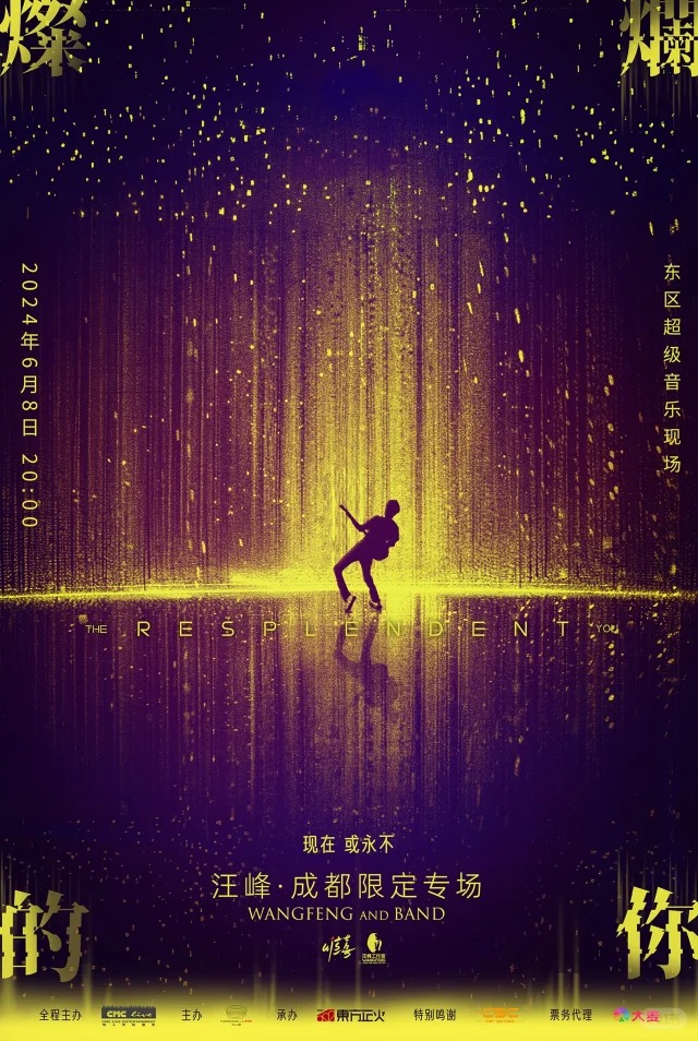 看到这个消息现在或永不汪峰  演唱会 海报   成都 2024