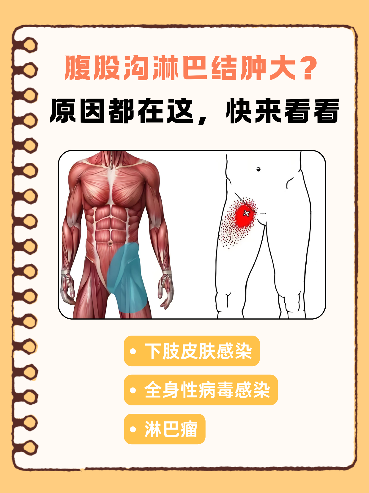 小腿前侧淋巴结位置图图片