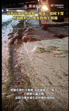 蜉蝣尸体厚约5厘米致车无法通行# 近日,湖南常德汉寿沅水大桥惊现