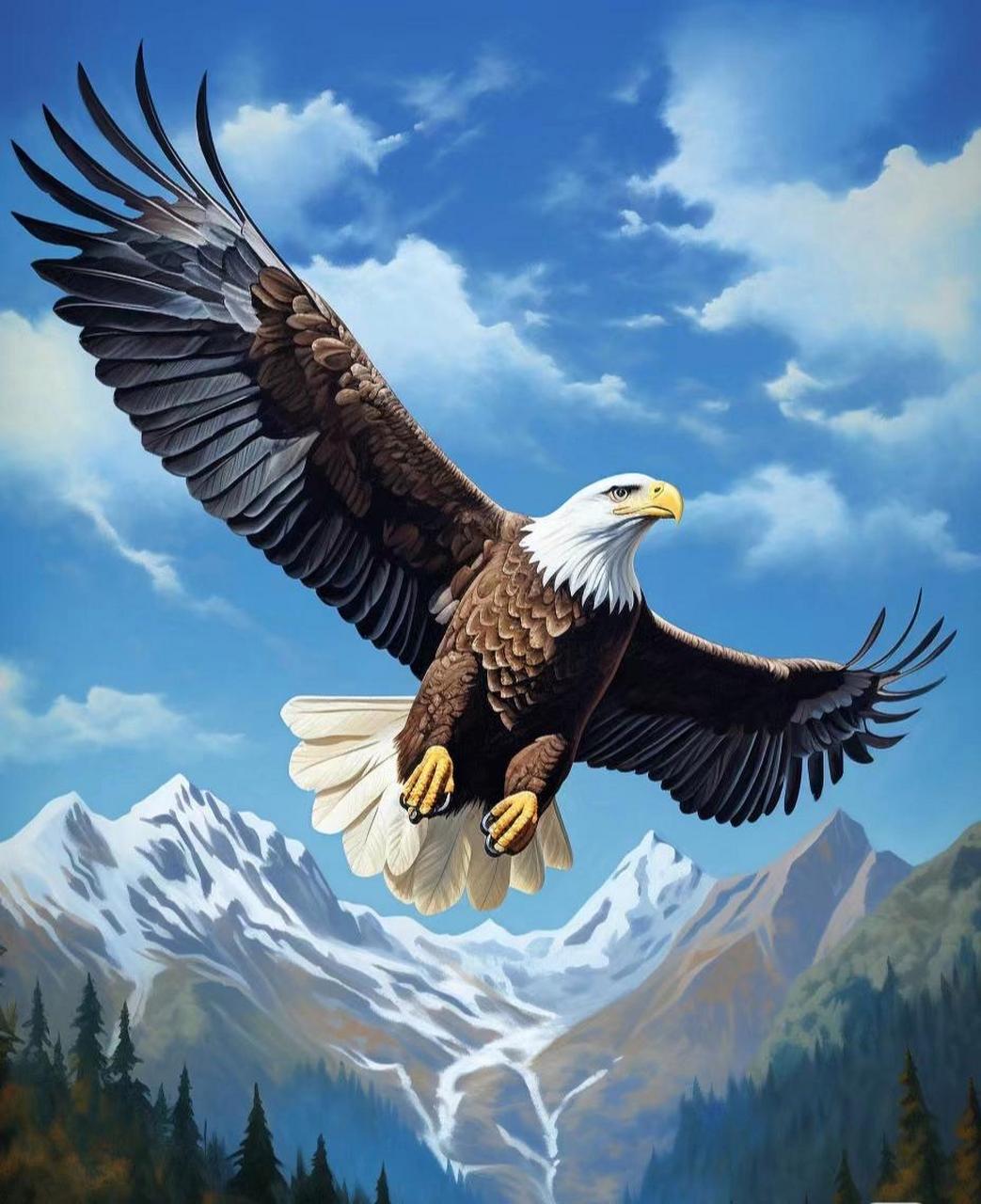 雄鹰当展翅高飞989898翱翔于九天之上0707