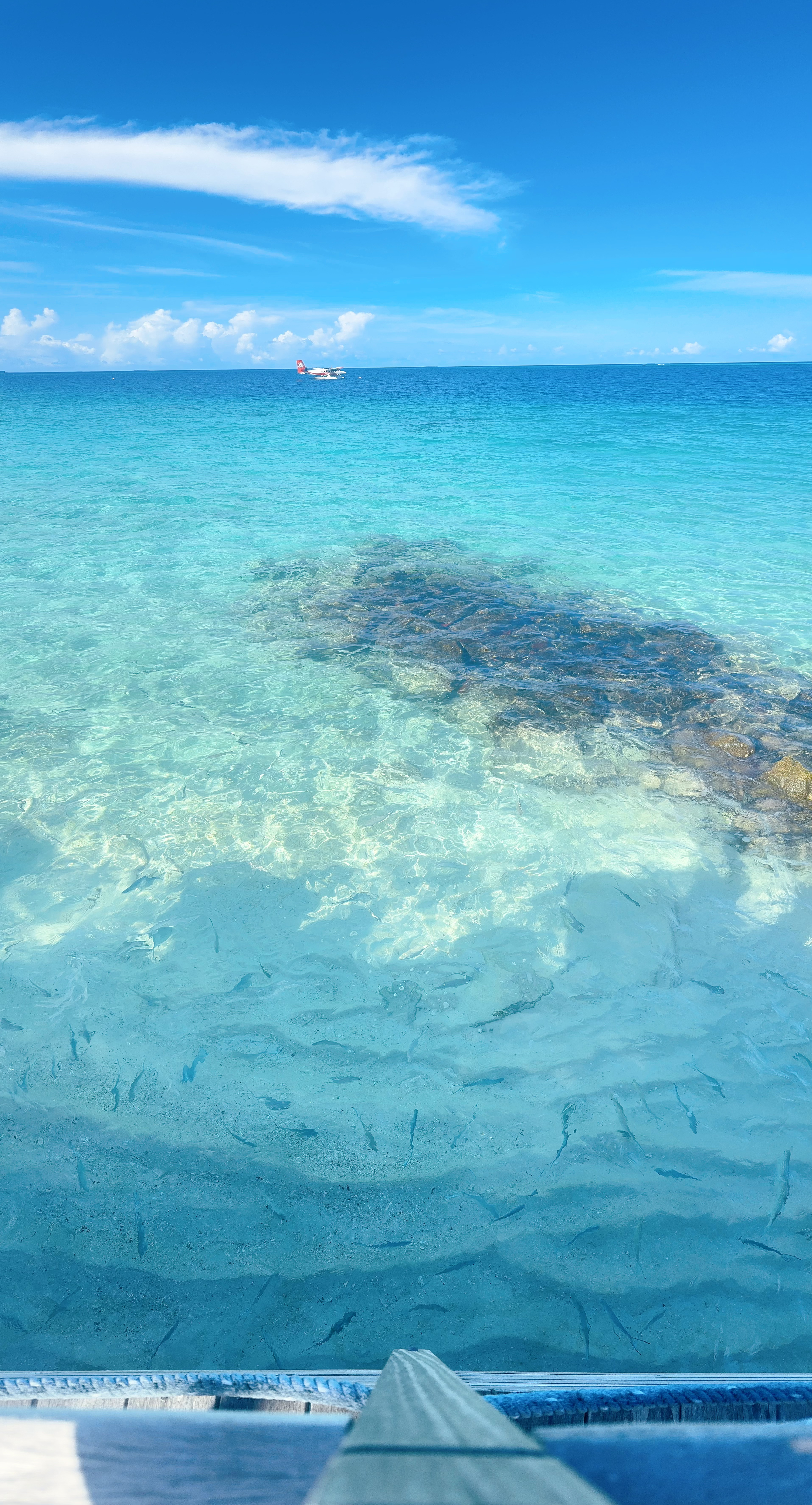 jw 万豪  马尔代夫的 jw 万豪度假酒店呀,位于沙薇娅尼环礁