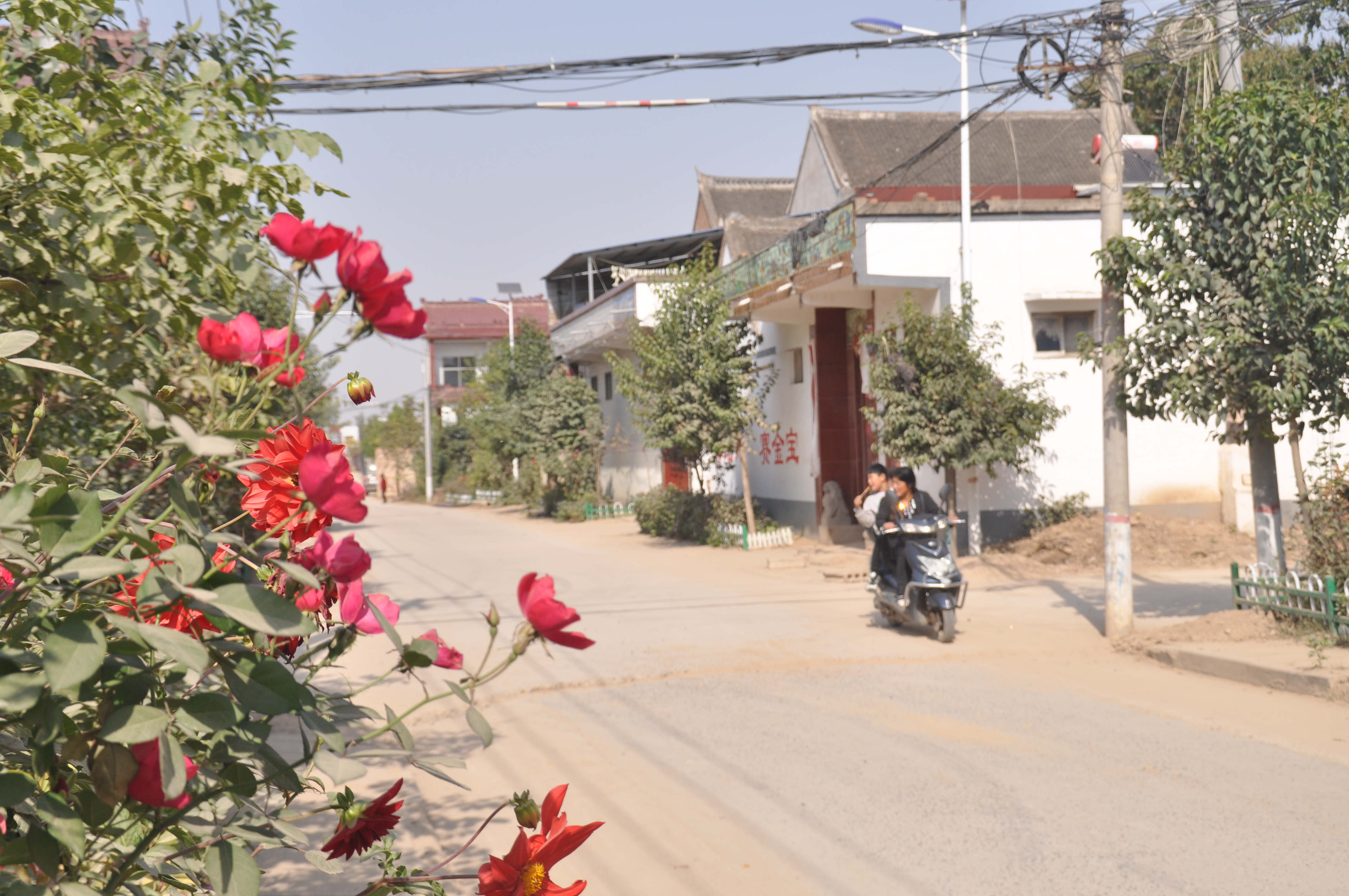 动态夏日征集令# 在杞县沙沃乡有一个外表看起来非常普通,但是实际却