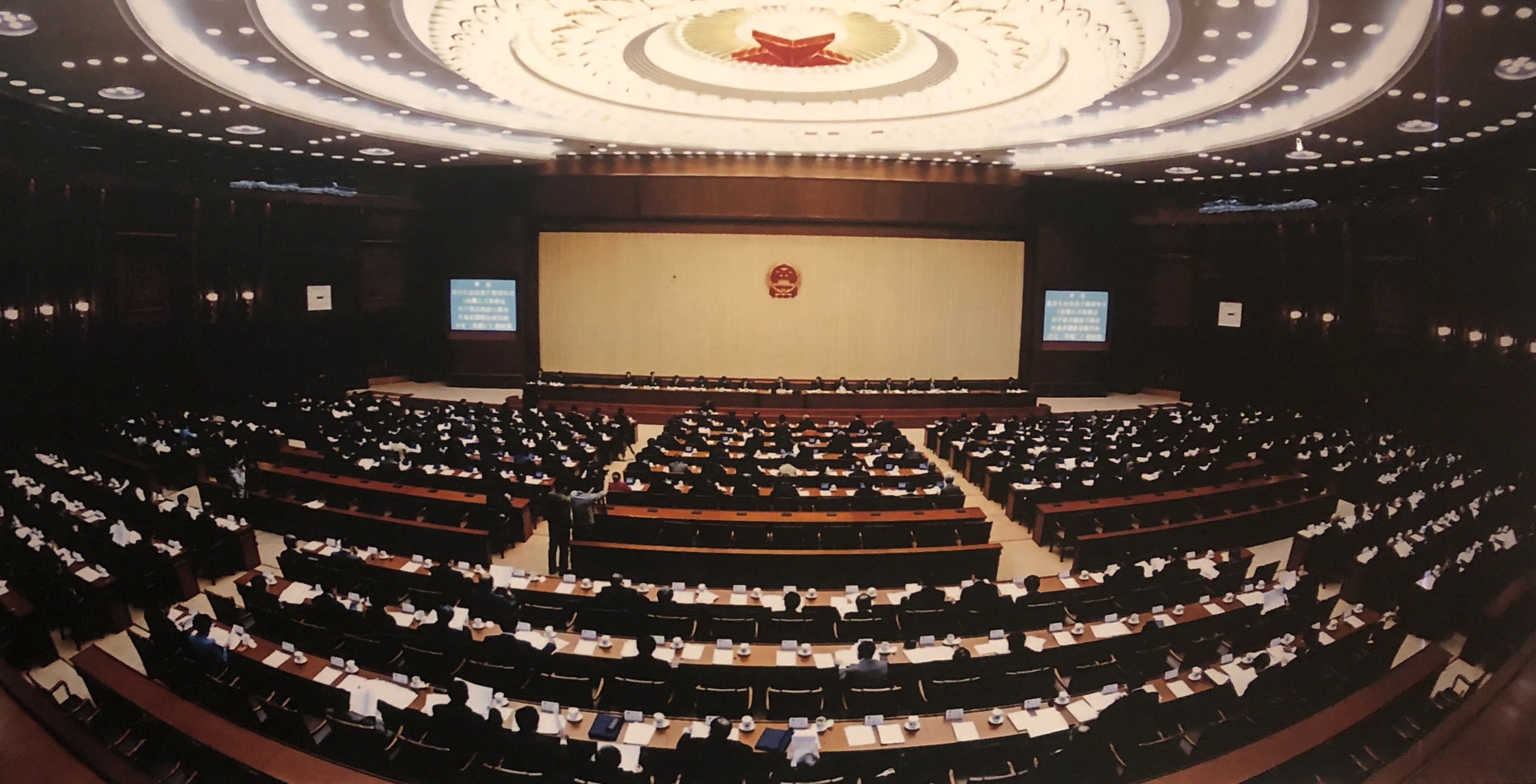 每年的9月20日被确定为什么