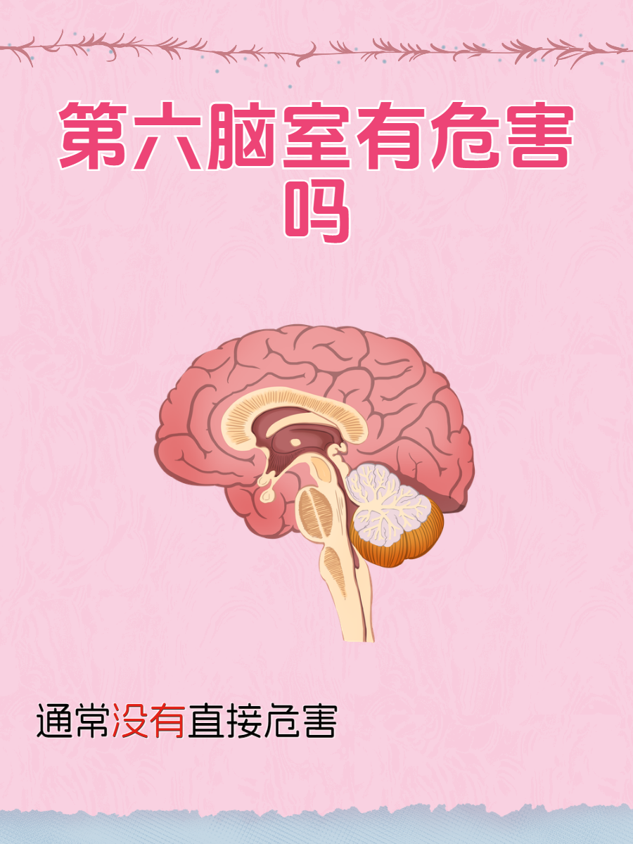 最近有小伙伴问我:"第六脑室有危害吗?"这个问题其实挺有意思的!
