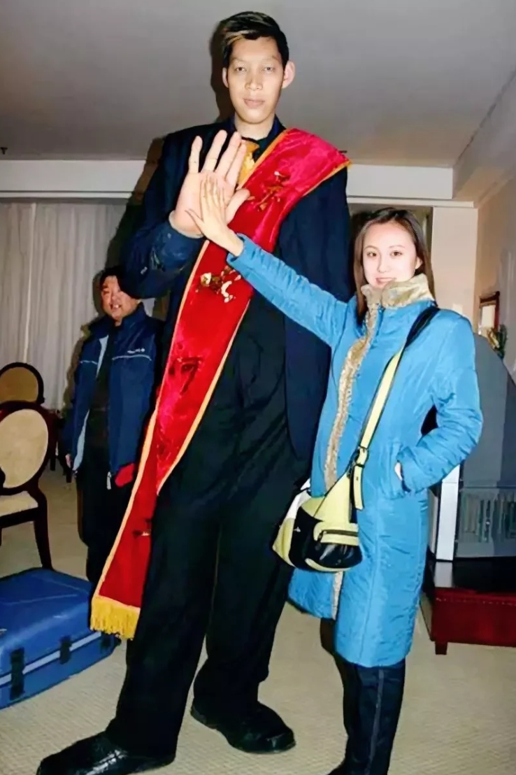 中国身材最高的十大巨人
