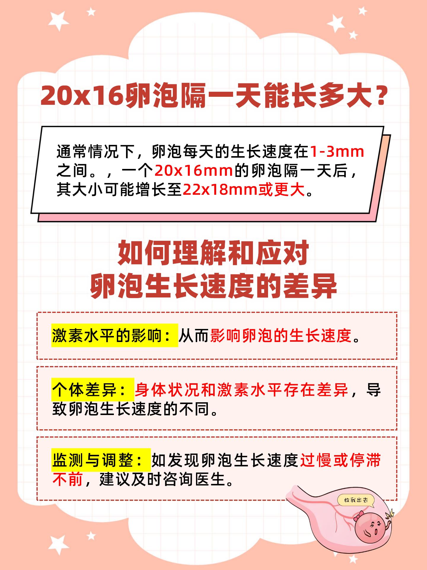 成年女性卵泡数量_成年女性卵泡数量多少正常