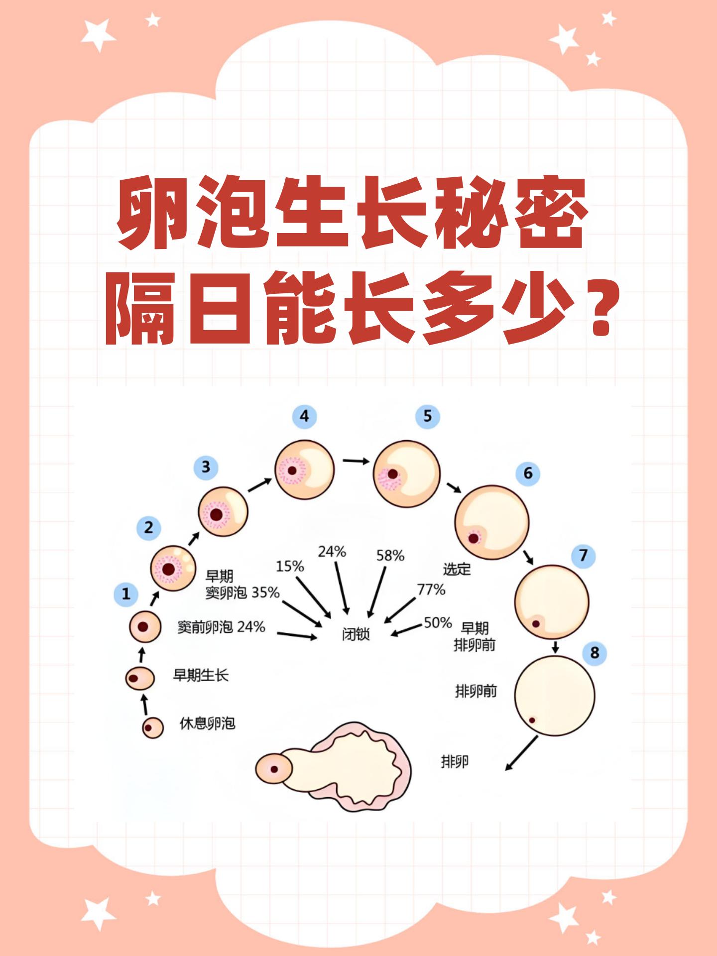 卵泡和卵子什么区别的简单介绍