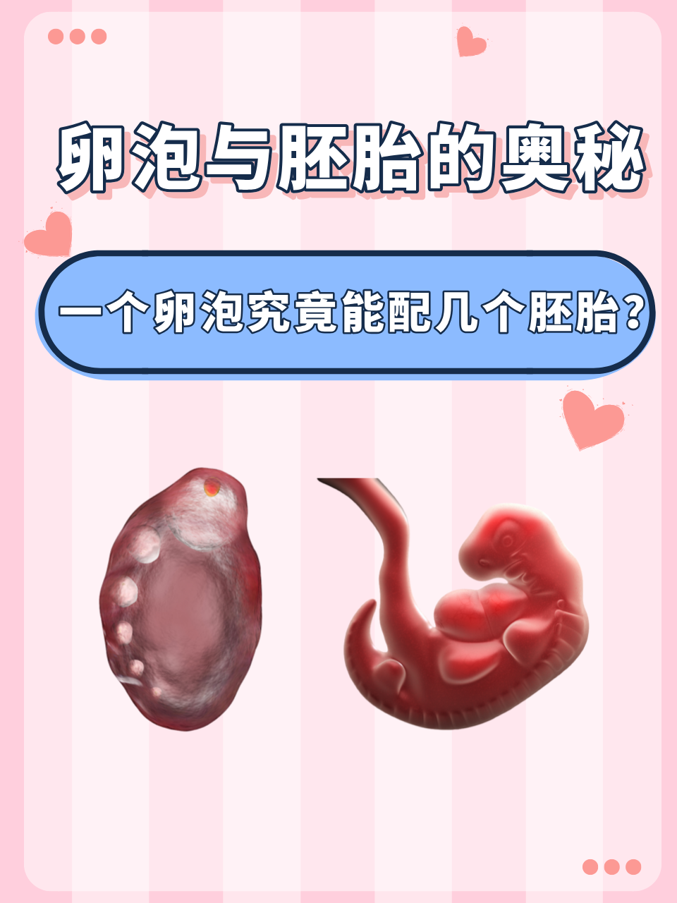 2025年8月22日 第89页