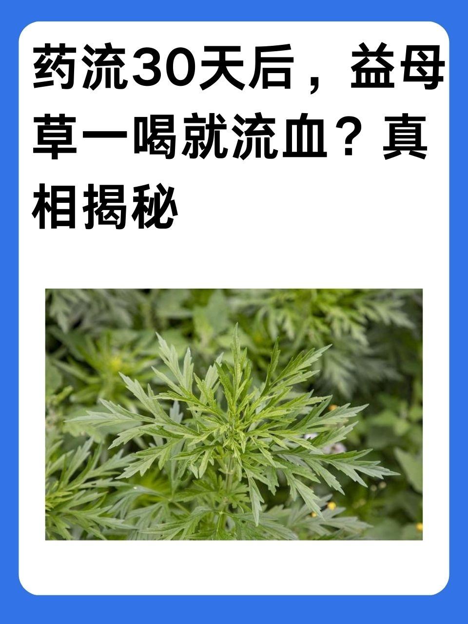 中药壬辰图片图片