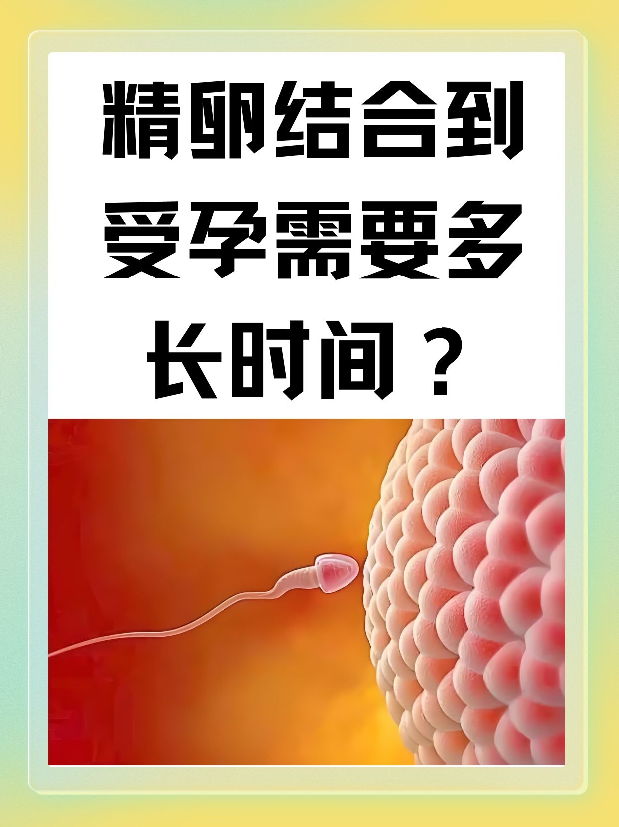 精子怎么进入输卵管?图片