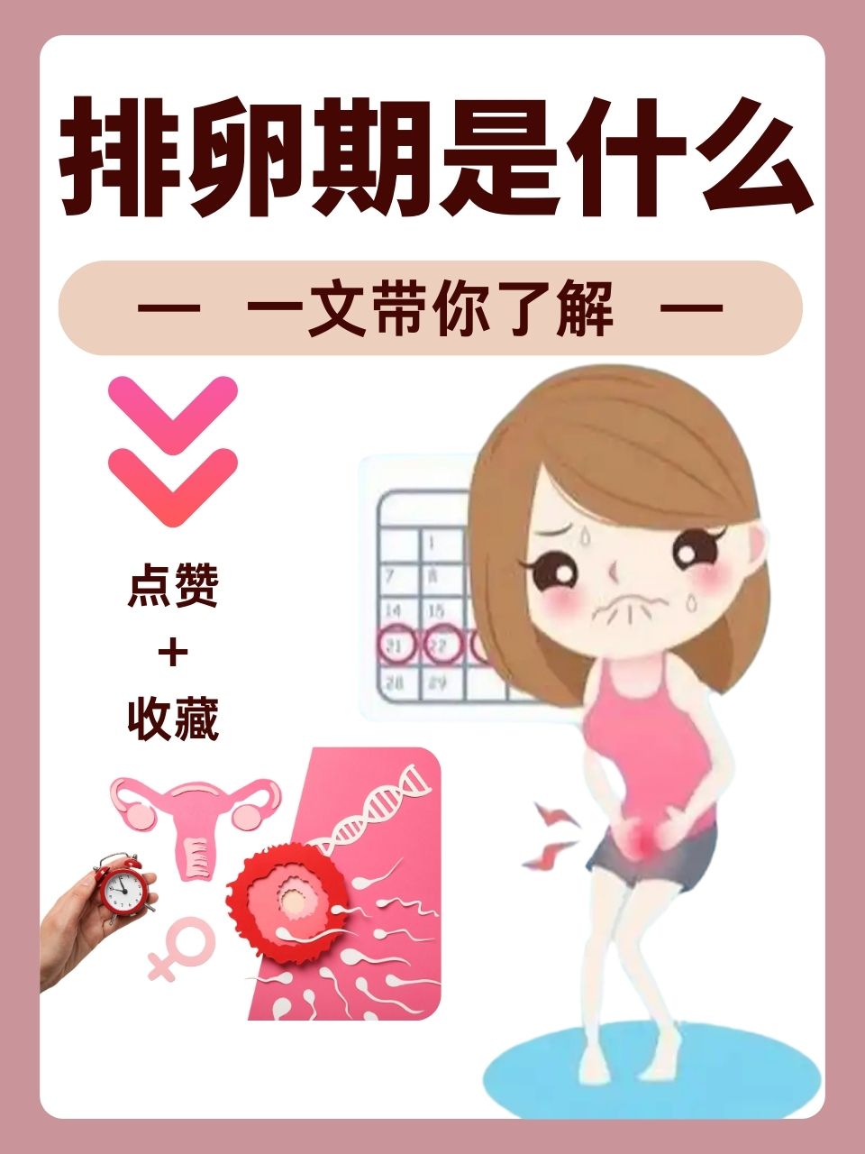 女性促进排卵_促进女人排卵的食物有哪些  第2张