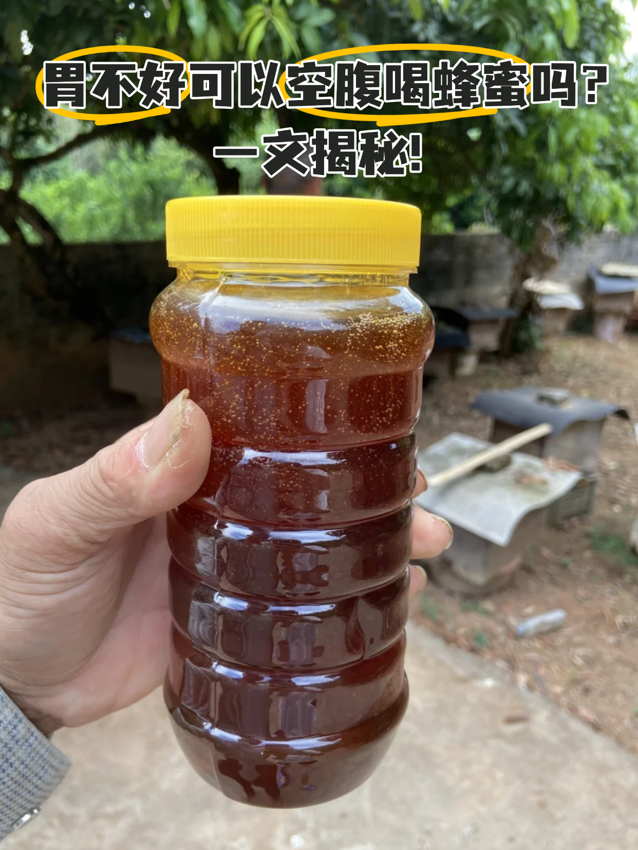 蜂蜜怎么吃壮阳(硬度不够怎么调理) 蜂蜜怎么吃壮阳(硬度不够怎么调理)