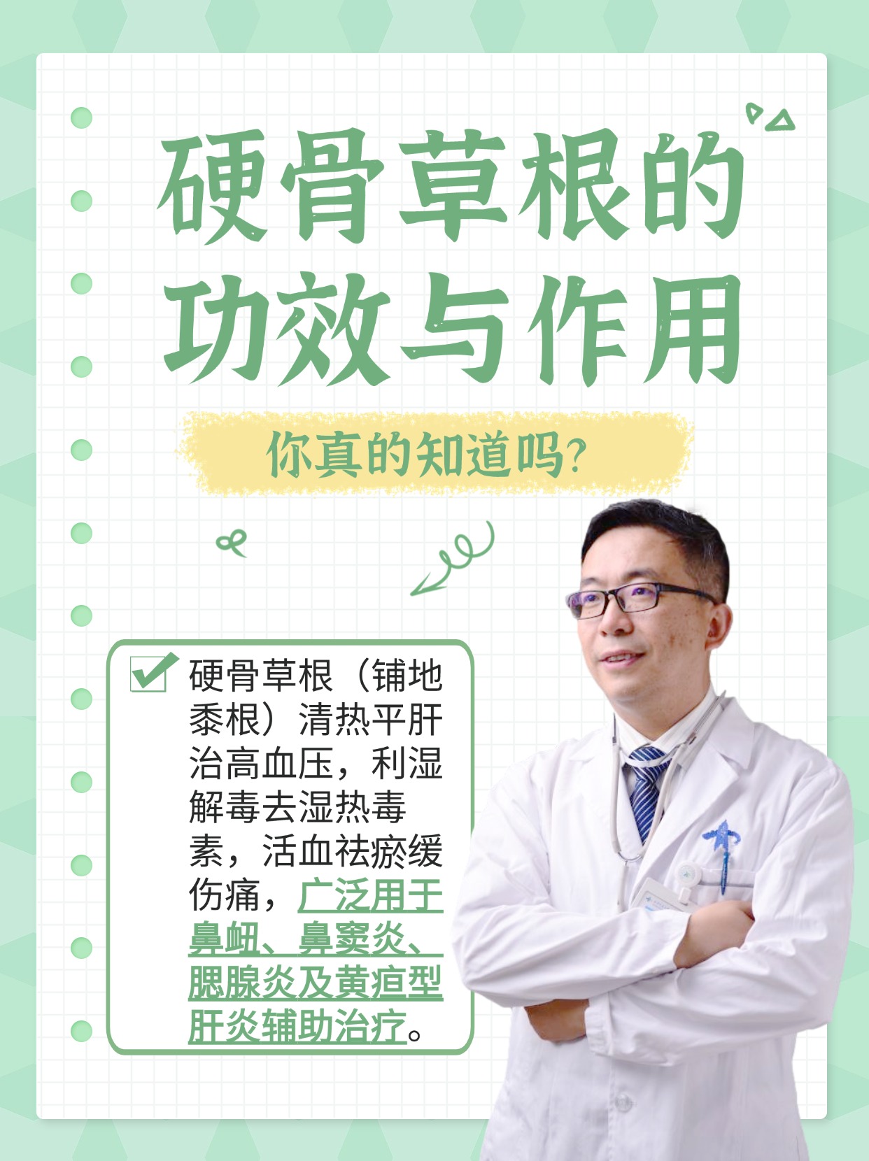 硬骨草根常被称作铺地黍根,是禾本科黍属植物的根茎及根部,其药用