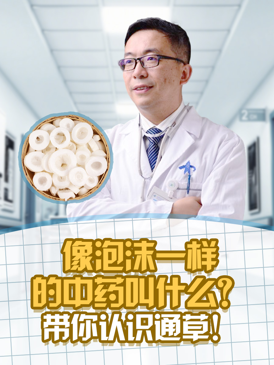 大通草的图片及作用图片