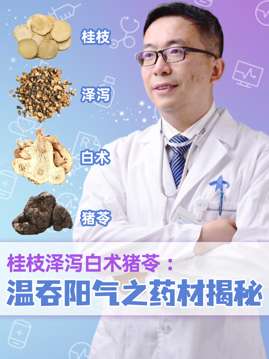 春泽汤医案图片