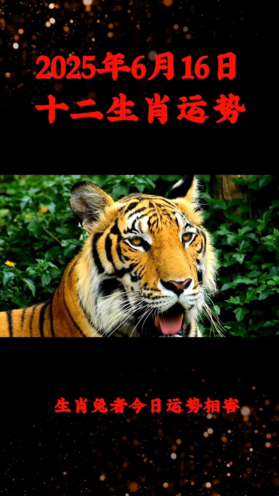 2025年属鼠生肖运势好(2025年属鼠的人的全年运势)