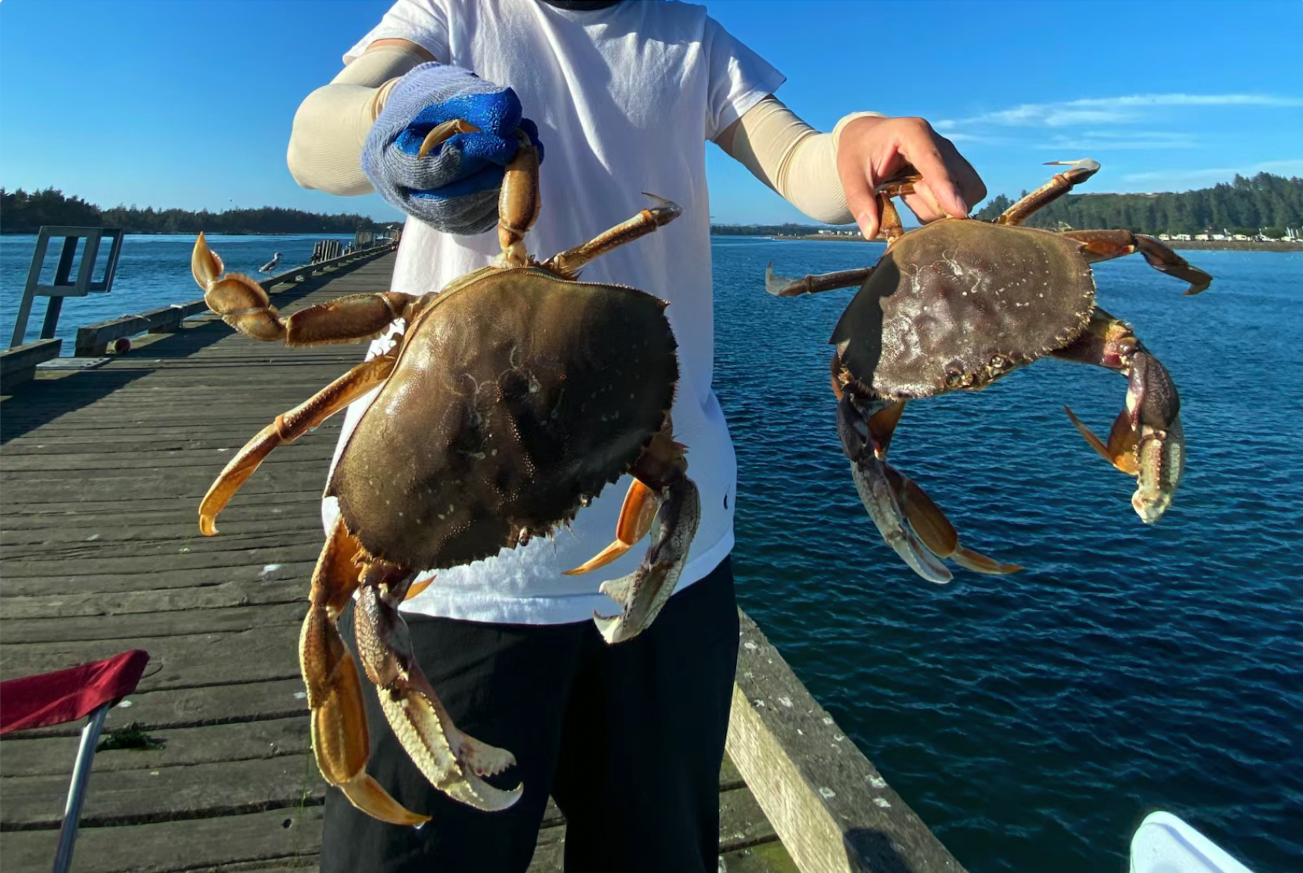 捕蟹通常使用捕蟹篓或手工捕捉,需要巧妙地在水边或岩石间寻找