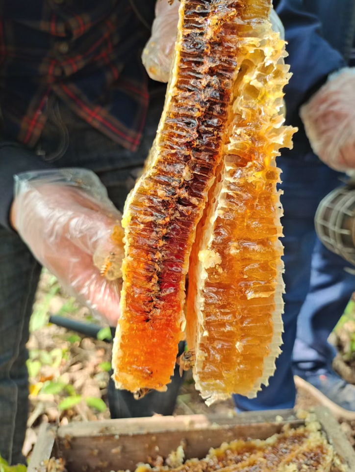 蜂蜜可以和哪些食物一起吃(蜂蜜可以跟什么一起吃) 蜂蜜可以和哪些食物一起吃(蜂蜜可以跟什么一起吃)
