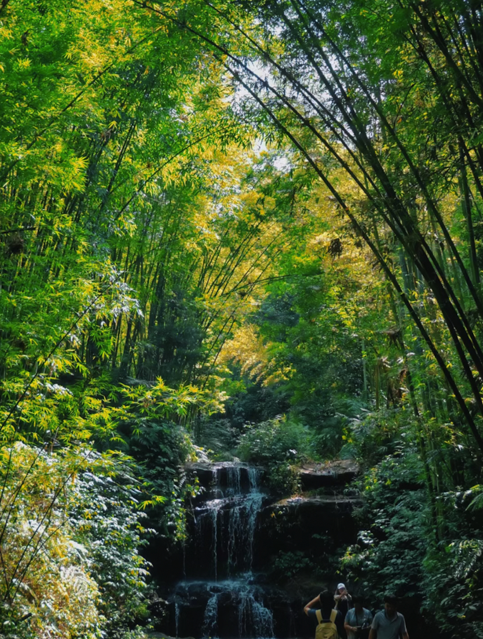 蜀南竹海风景图图片