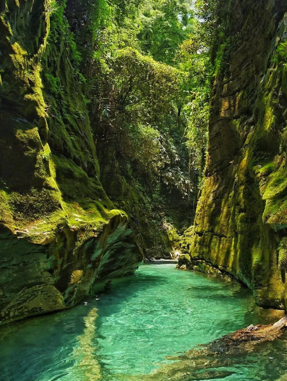 恩施屏山峡谷介绍 景点概述: 恩施屏山峡谷,以其"东方诺舟"之称闻名