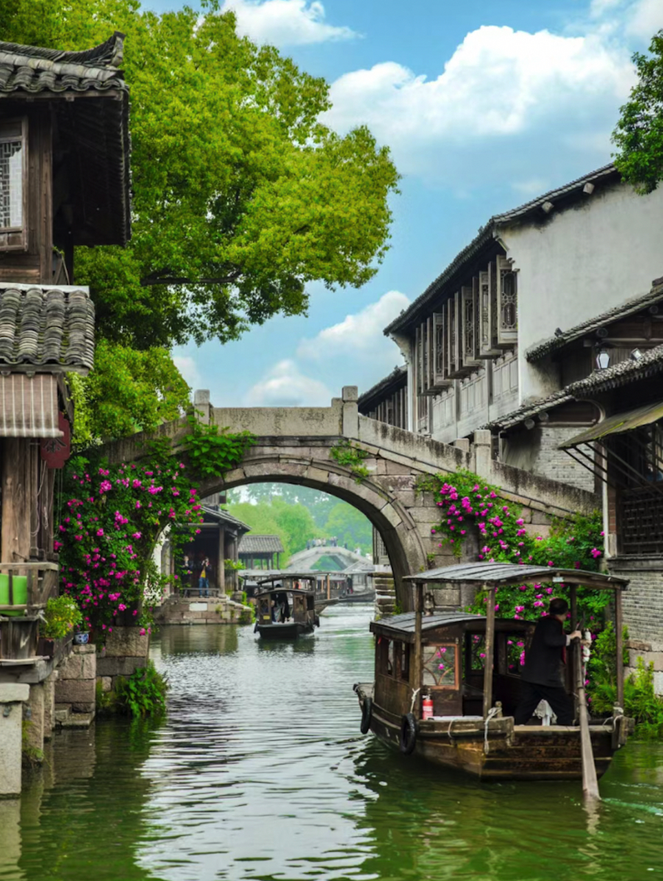 乌镇照片风景图片图片