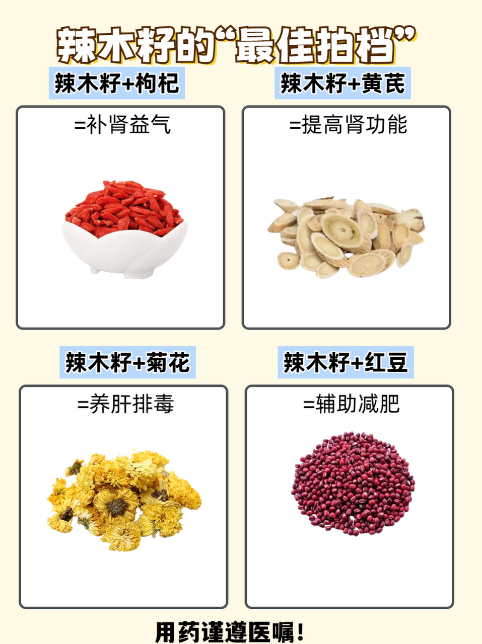 辣木籽树图片和功效图片