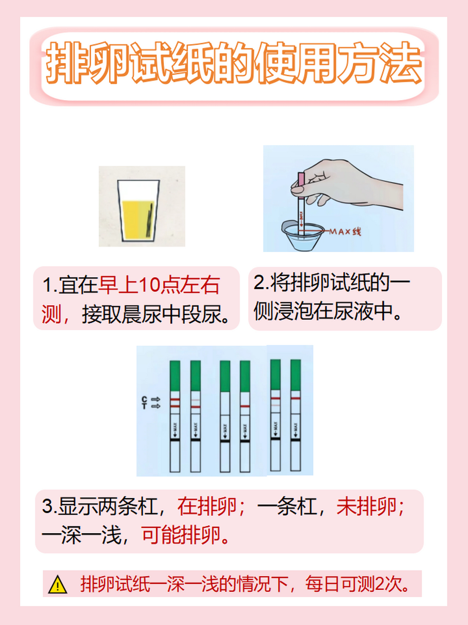分享丨排卵试纸显示两条杠是在排卵吗?