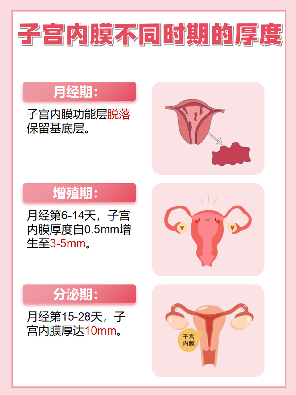 女性排卵期宫颈图片图片