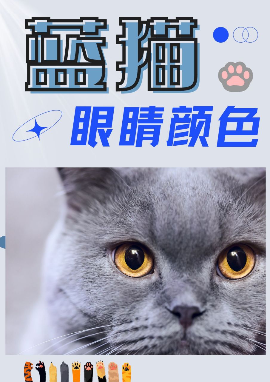 蓝猫眼睛的颜色有几种