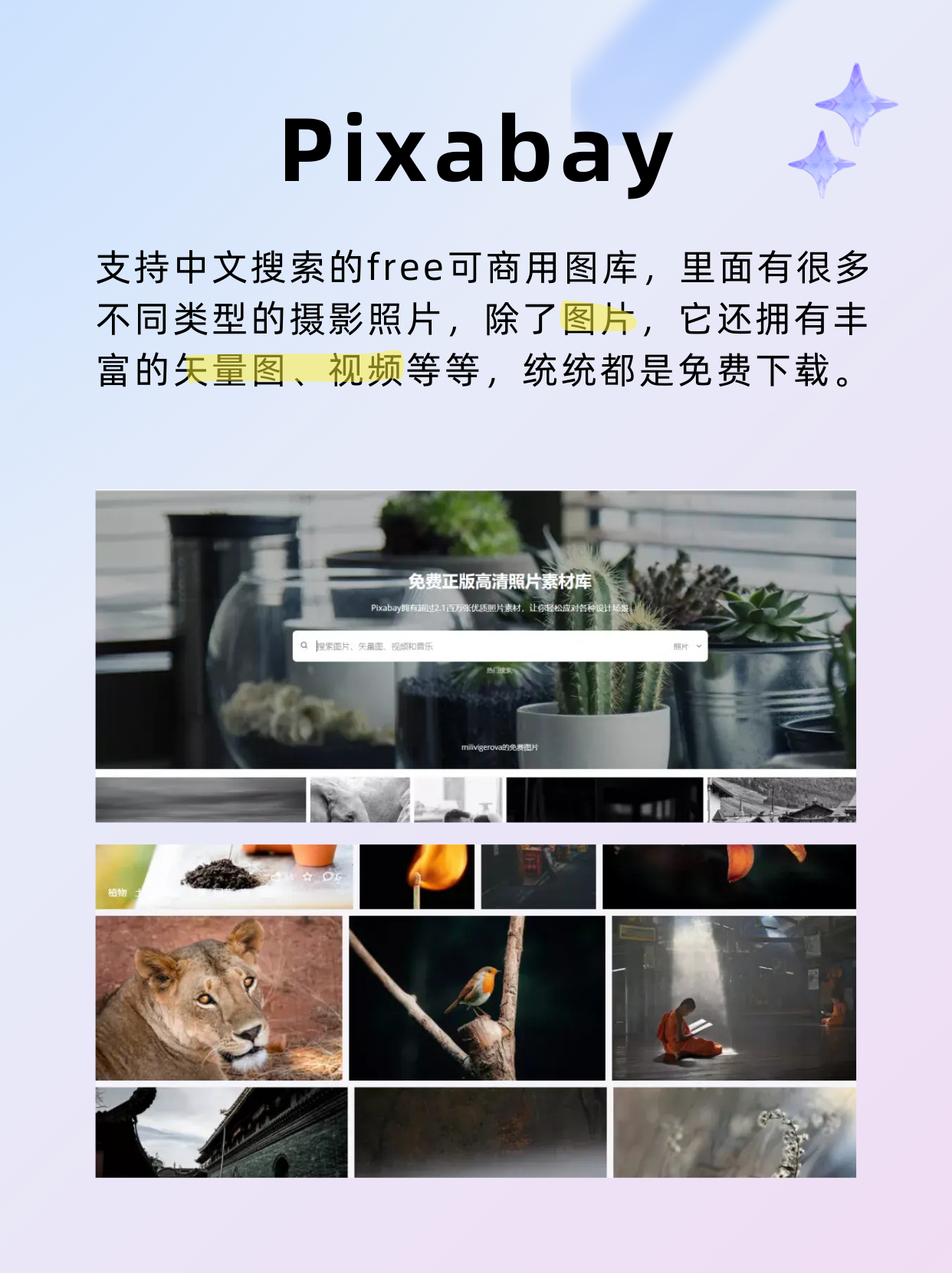 图片下载网站中文版_图片下载2021