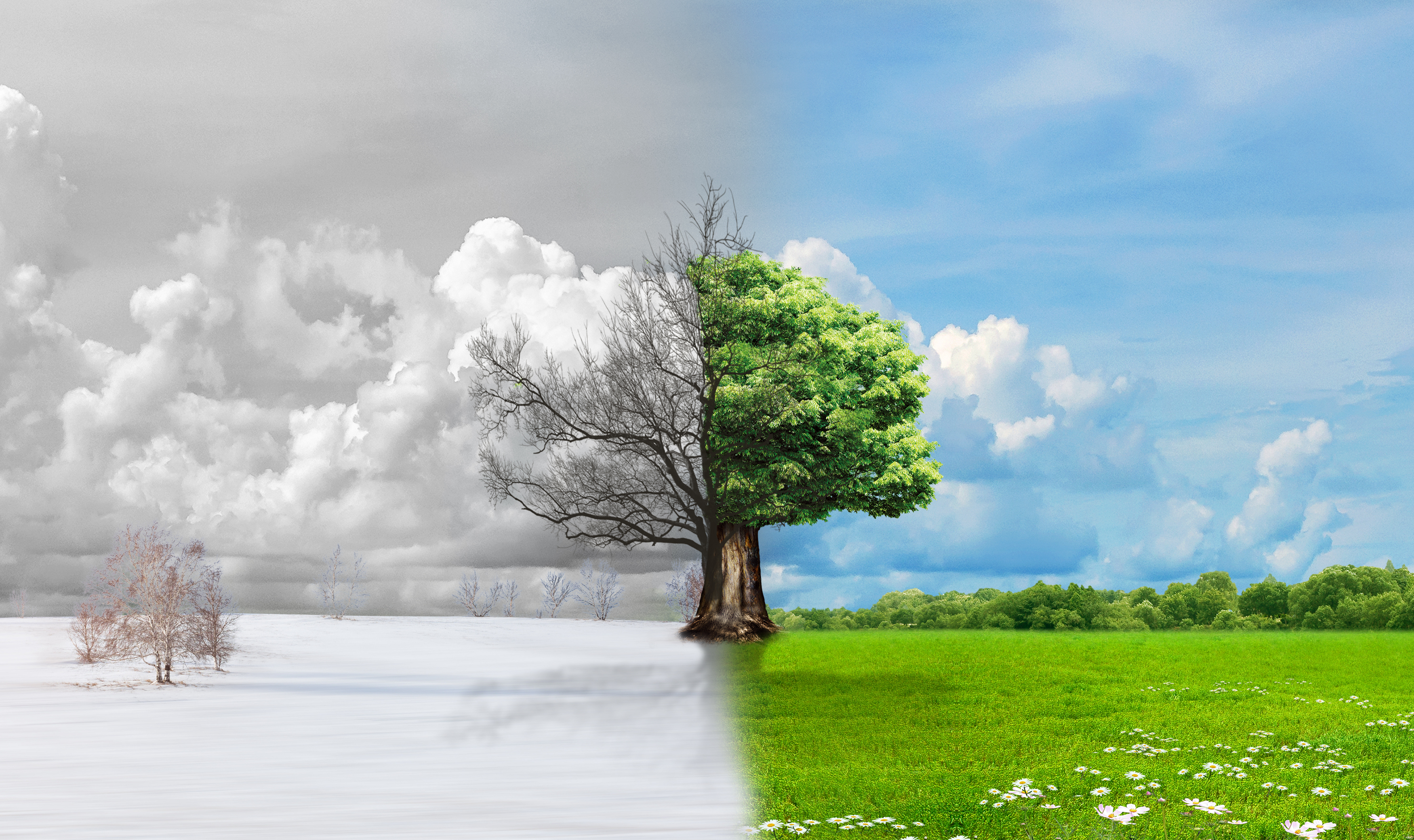 超50万人的研究揭示:多重环境因素与衰老之间的关联丨抗衰速递6