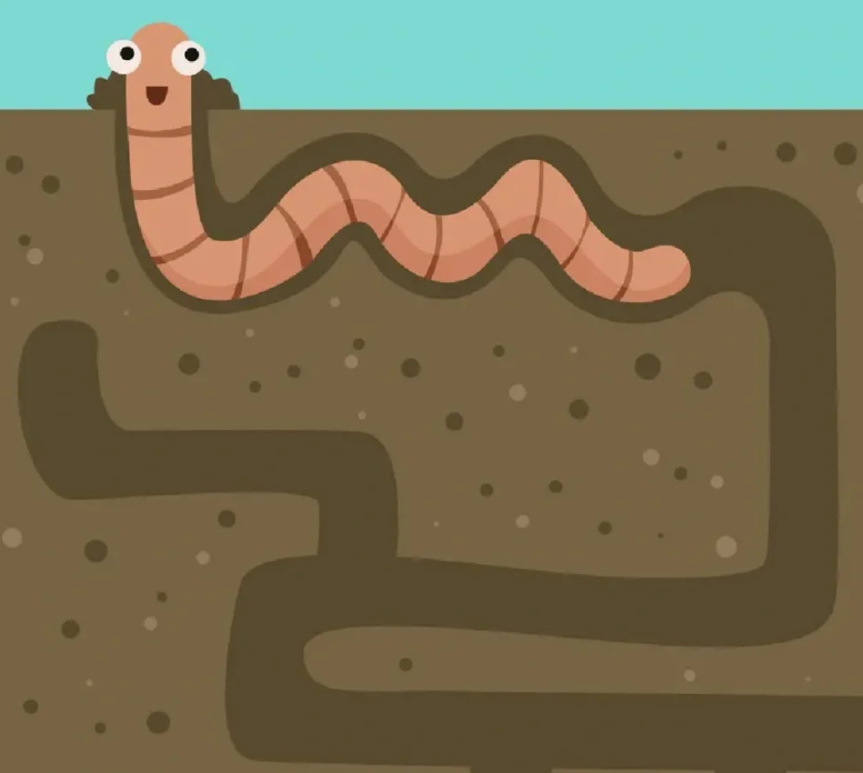 蚯蚓的窝长啥样图片蚯蚓挖隧道土壤蚯蚓卡通蚯蚓钻土蚯蚓简笔蚯蚓泥土