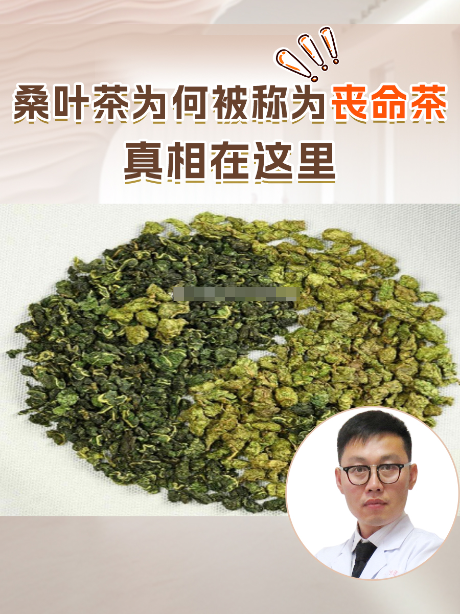 烟台桑叶茶图片