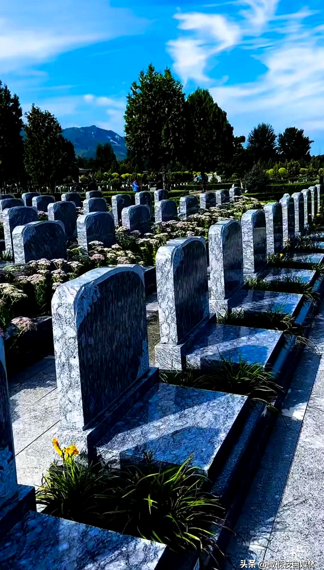 不和先走的老伴儿埋一块儿最脏的墓地母亲的墓地数不胜数的坟墓图片