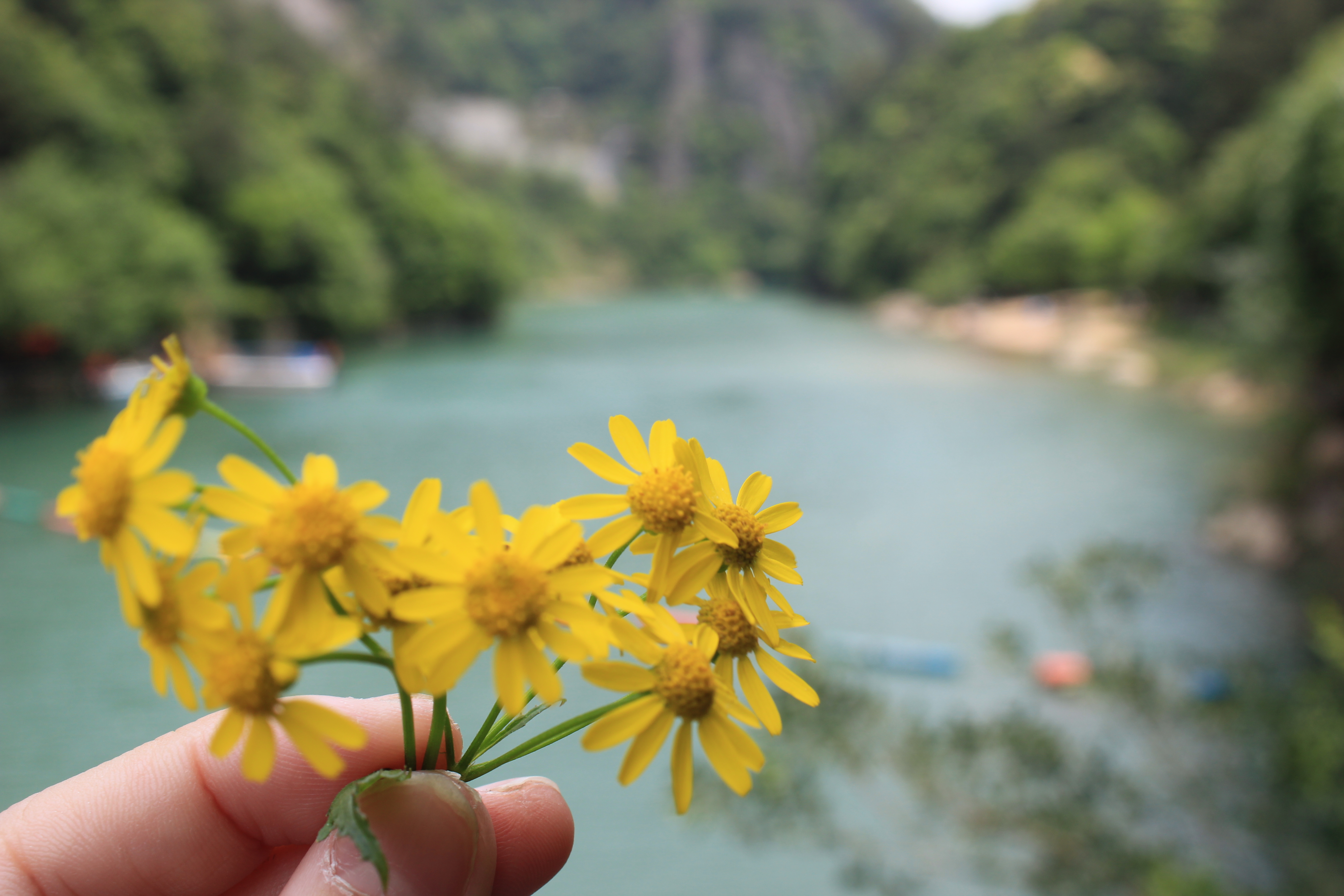 浙西大峡谷的自然风景不错