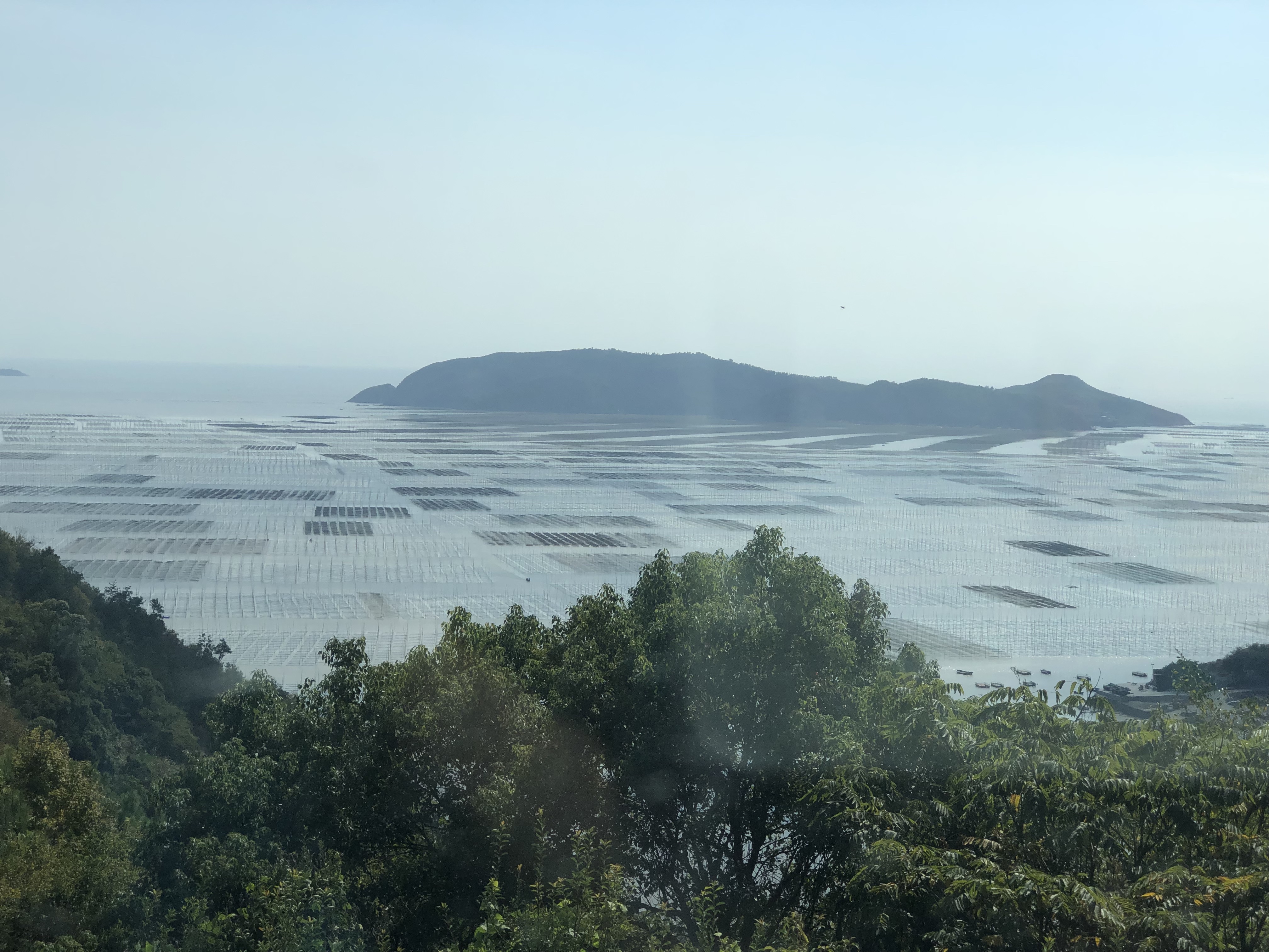 苍南天气天气大全
