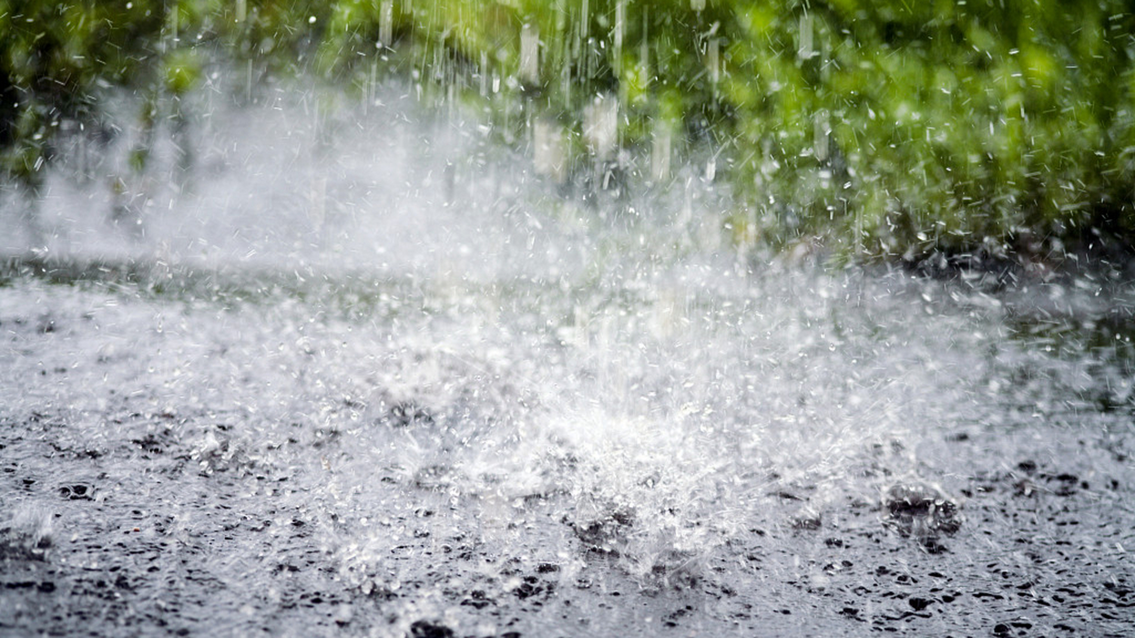 毛毛雨 阵雨 雷雨 暴雨图片