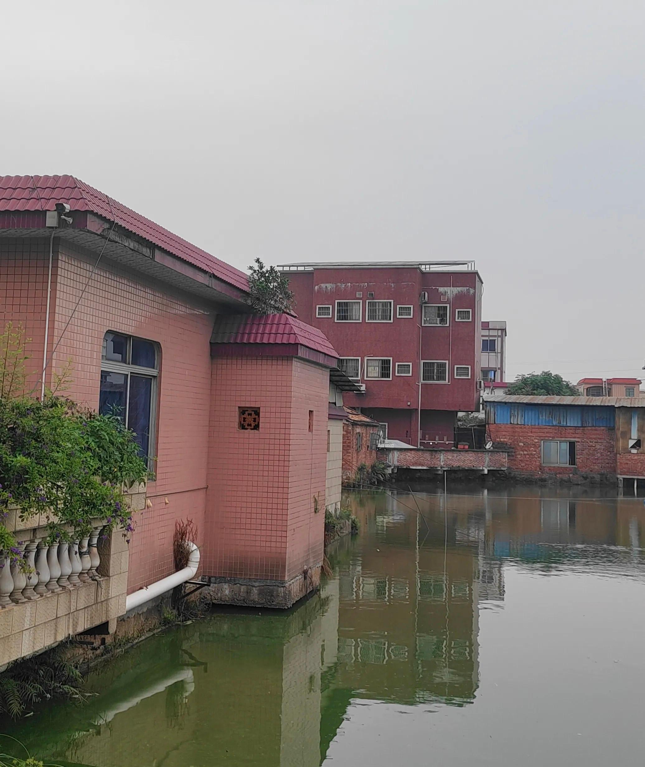 我就纳闷了,明明很聪明的人,怎么就像锯了嘴的葫芦