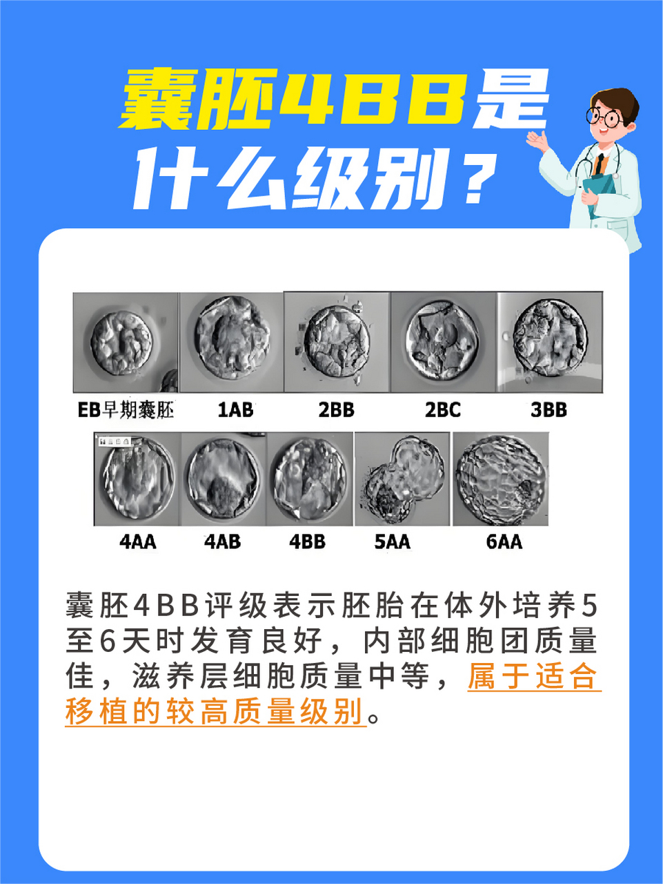 一文解答:囊胚4bb是什么级别  👉在试管婴儿技术中,囊胚的质量评估