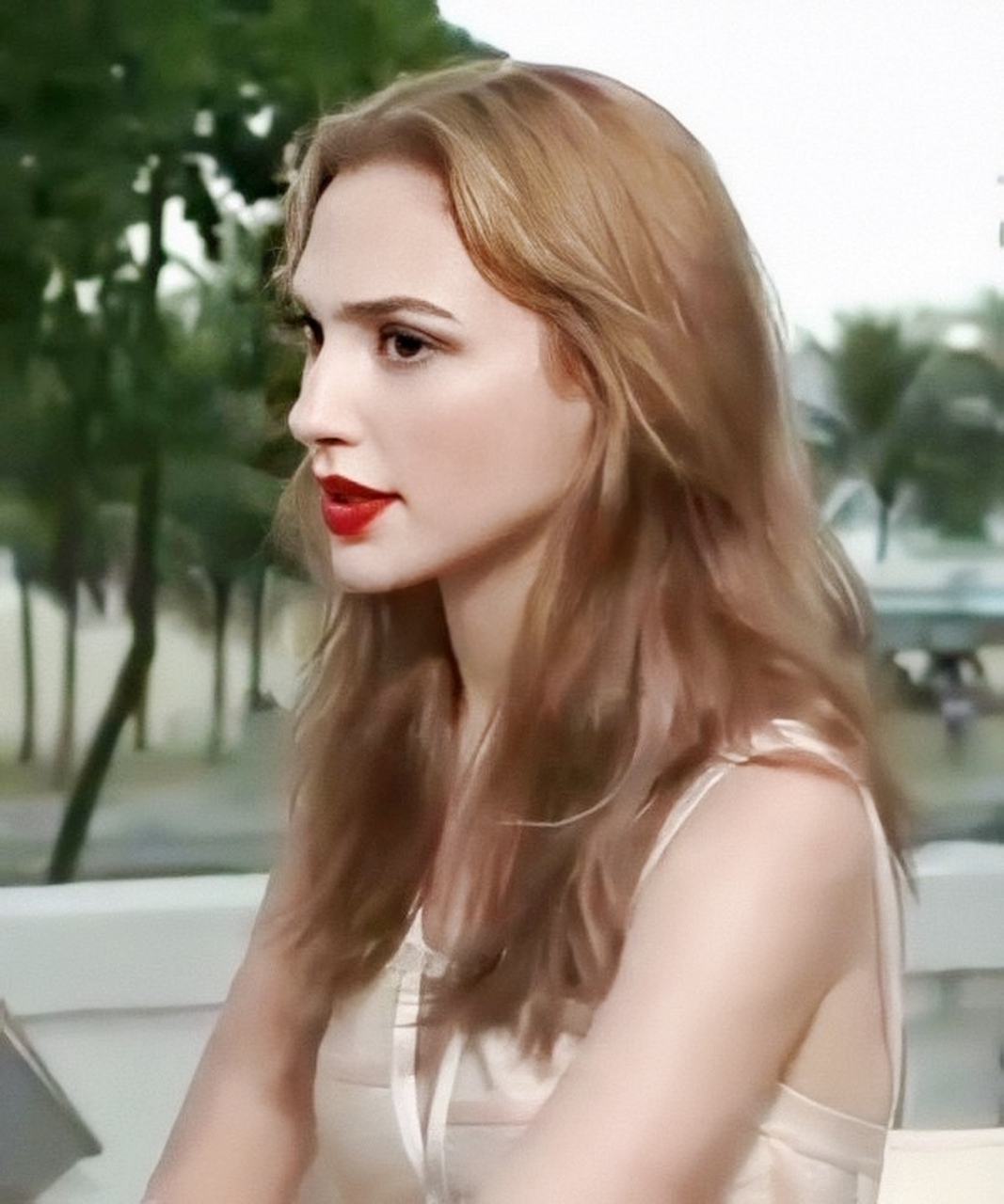 盖尔·加朵 gal gadot,以色列演员,模特,曾获得色列小姐选美比赛冠军