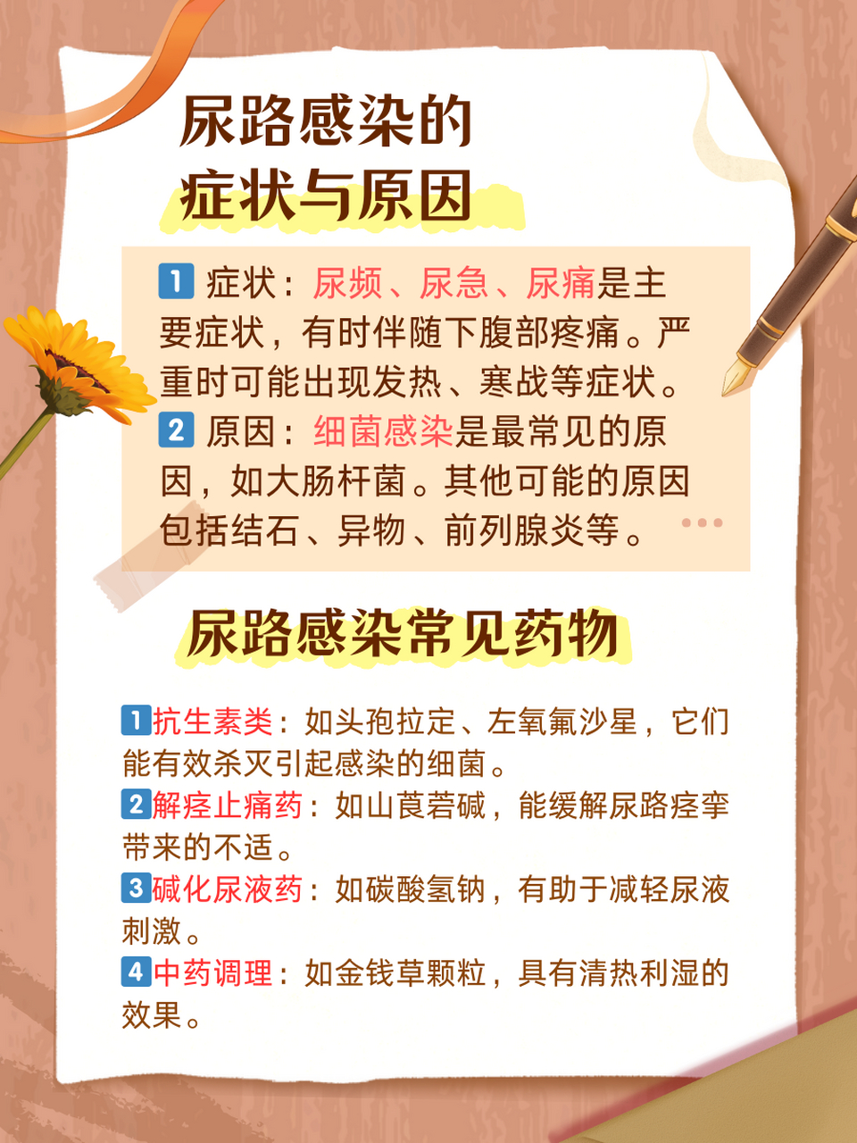 尿路感染是一种常见的泌尿系统疾病,主要由细菌侵入尿道,膀胱或