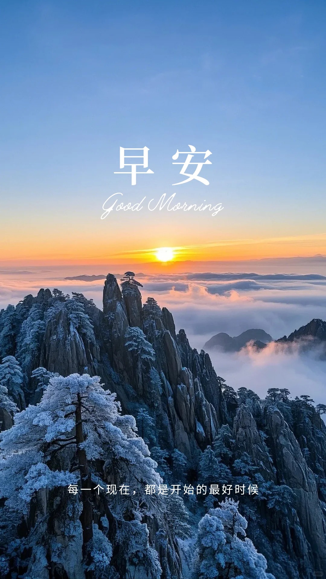 早安,朋友们!美好的一天从关注胆囊健康开始