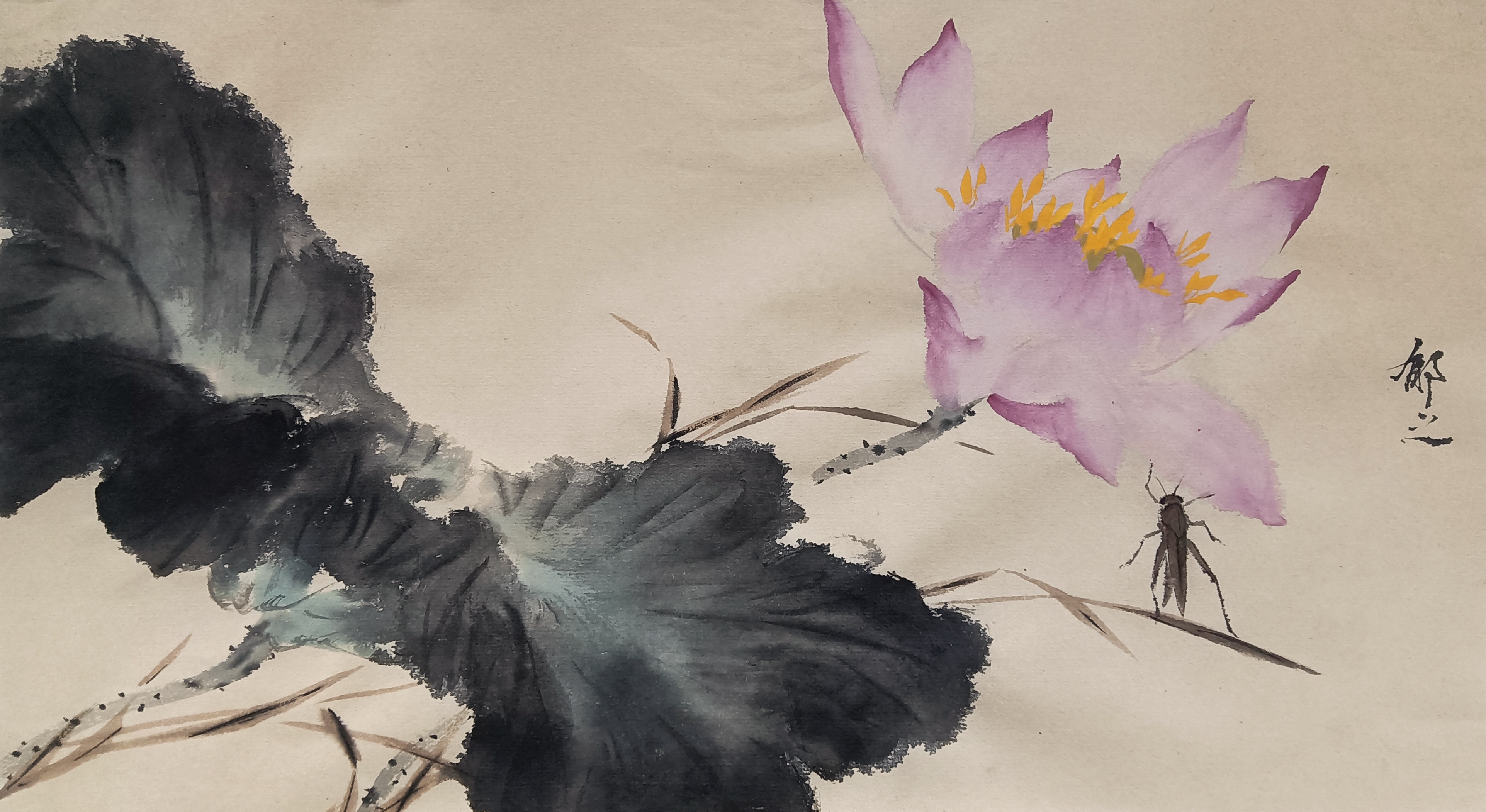 横幅荷花随笔#金秋动态创作赛