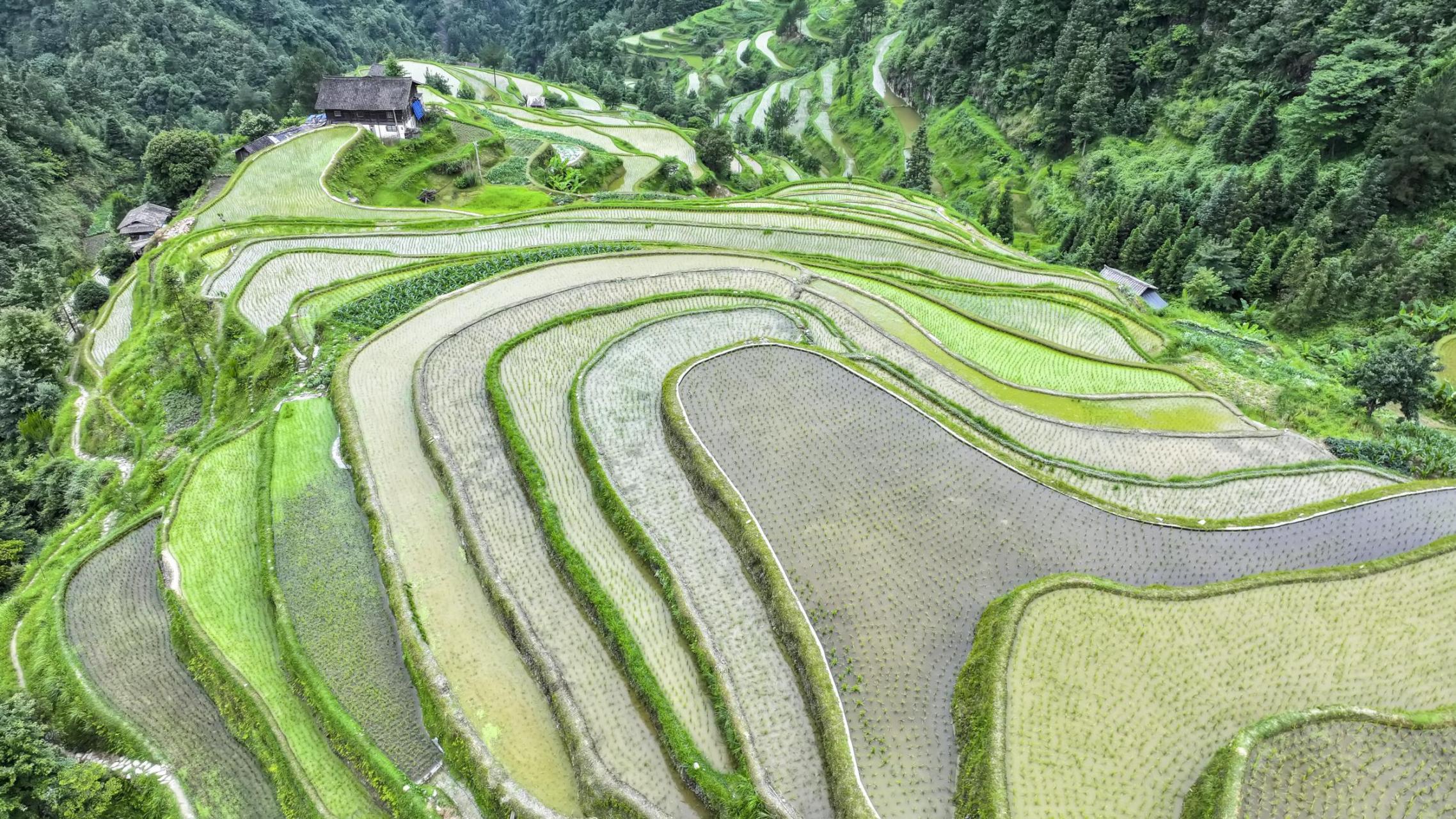 丹寨县麻鸟村图片