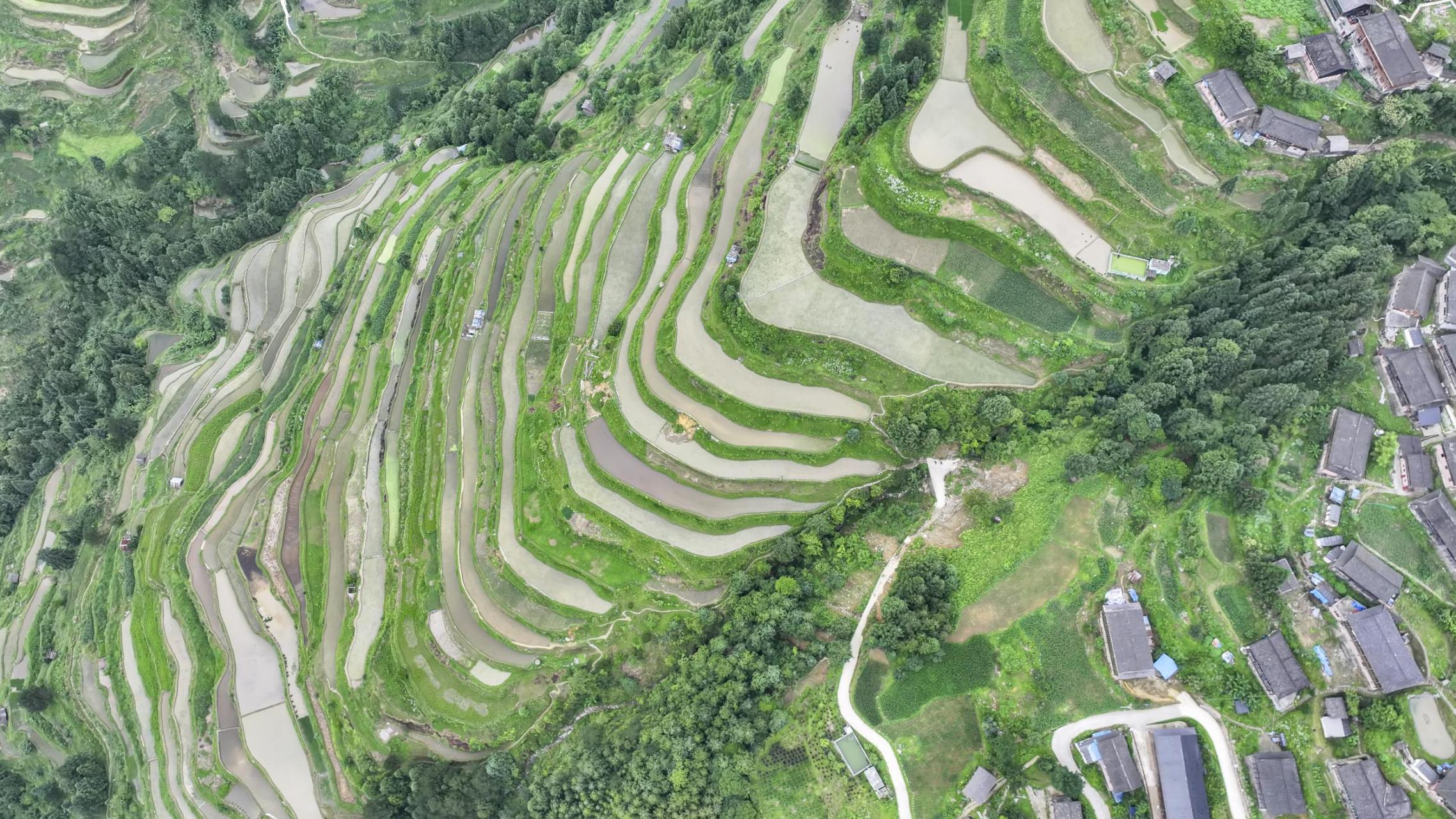 丹寨县麻鸟村图片