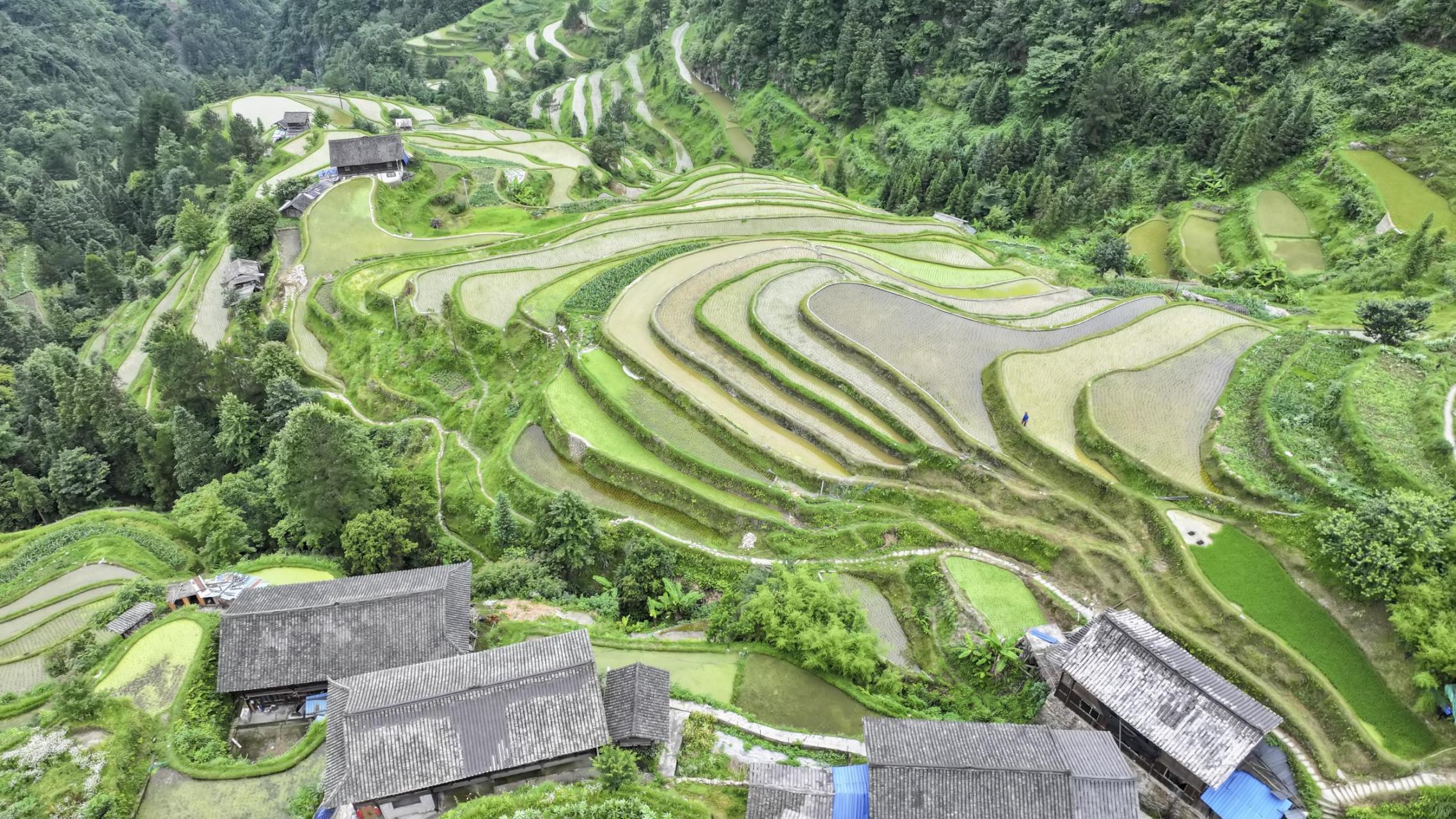 丹寨县麻鸟村图片