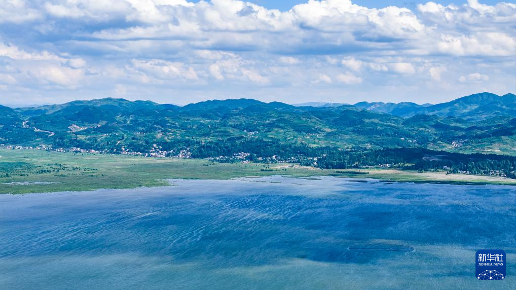 位于贵州省毕节市威宁彝族回族苗族自治县的草海国家级自然保护区绿意