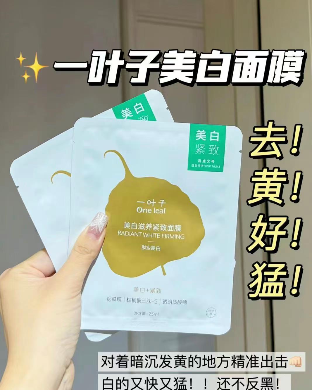 一叶子面膜logo图片