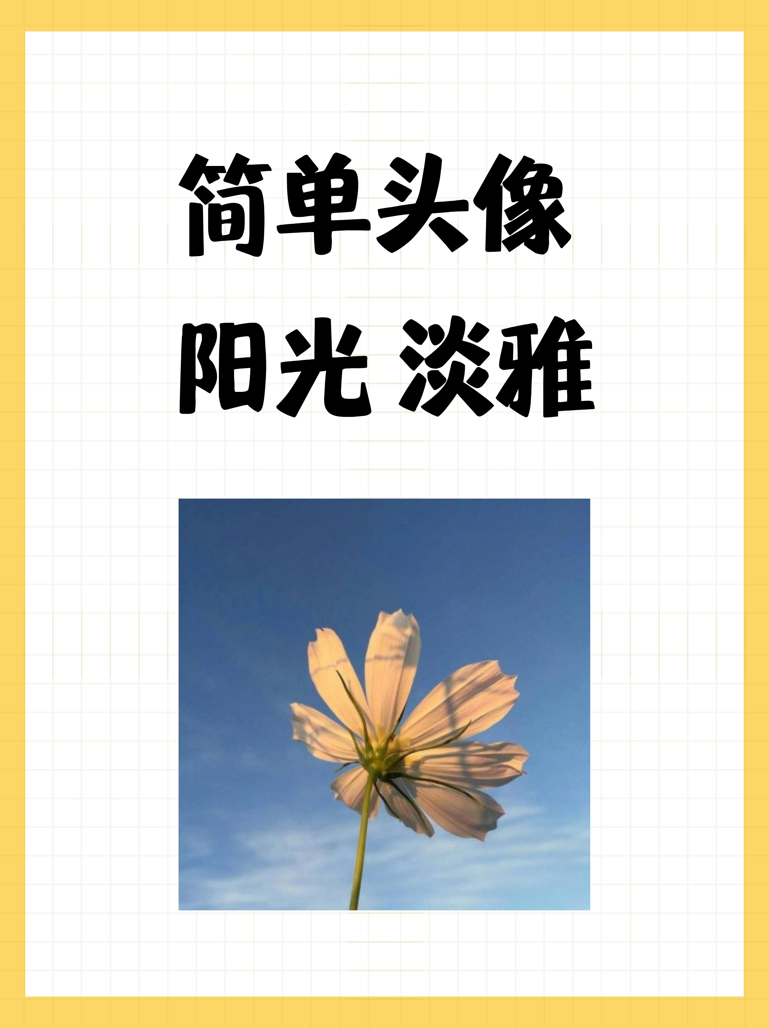 阳光 淡雅简单头像淡雅简单头像阳光阳光简单的头像图片淡雅宁静微信